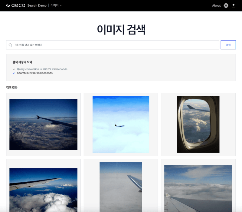 Image Search Demo Screenshot